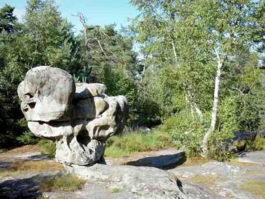 La Pause Allongee - Fontainebleau Hypercentre Buitenkant foto